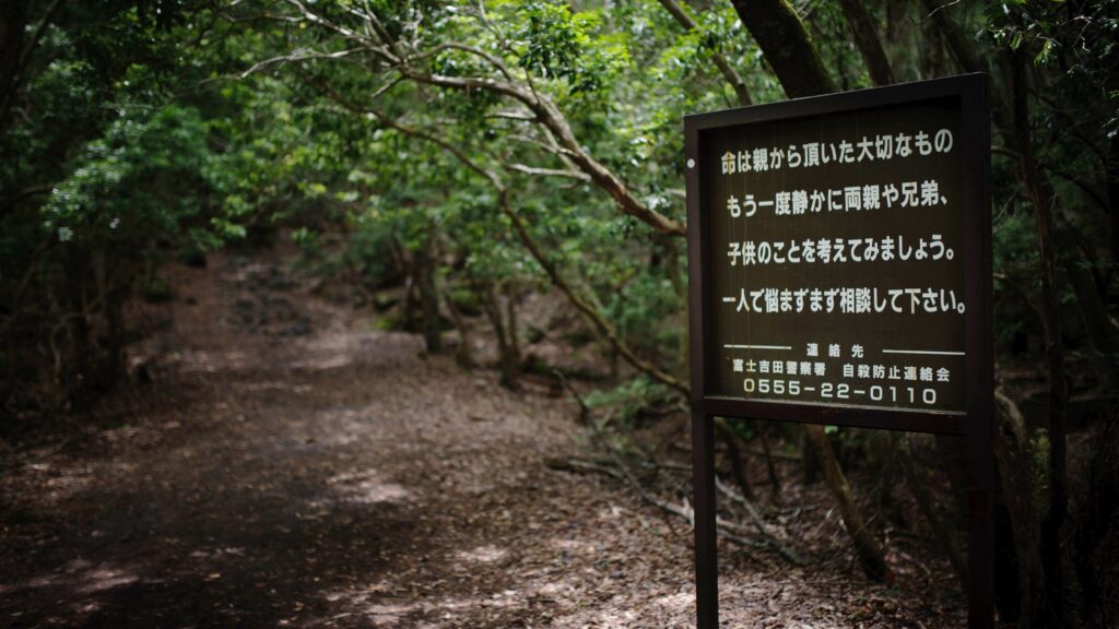 Aokigahara Forest