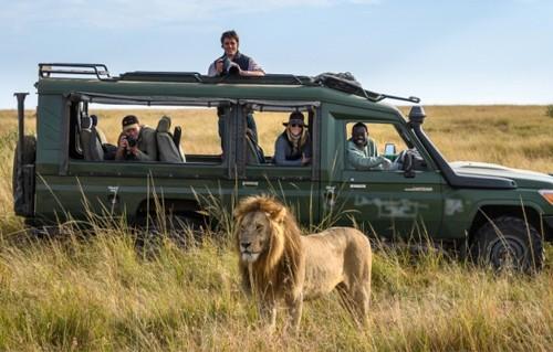 Safari in Tanzania